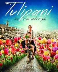 Тюльпаны: любовь, честь и велосипед (2017) смотреть онлайн